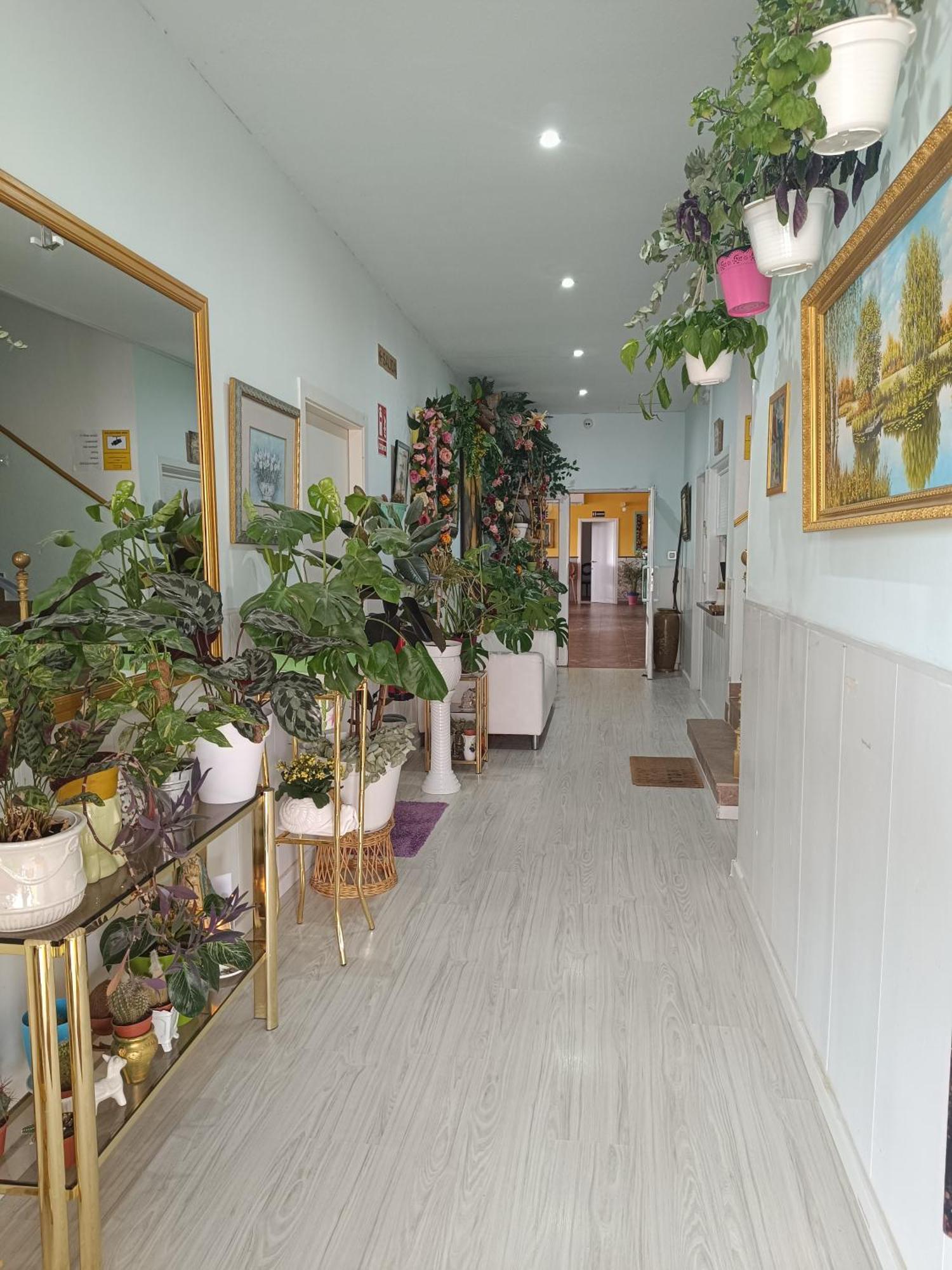 Hostal Fuente Del Pino フミーリャ エクステリア 写真